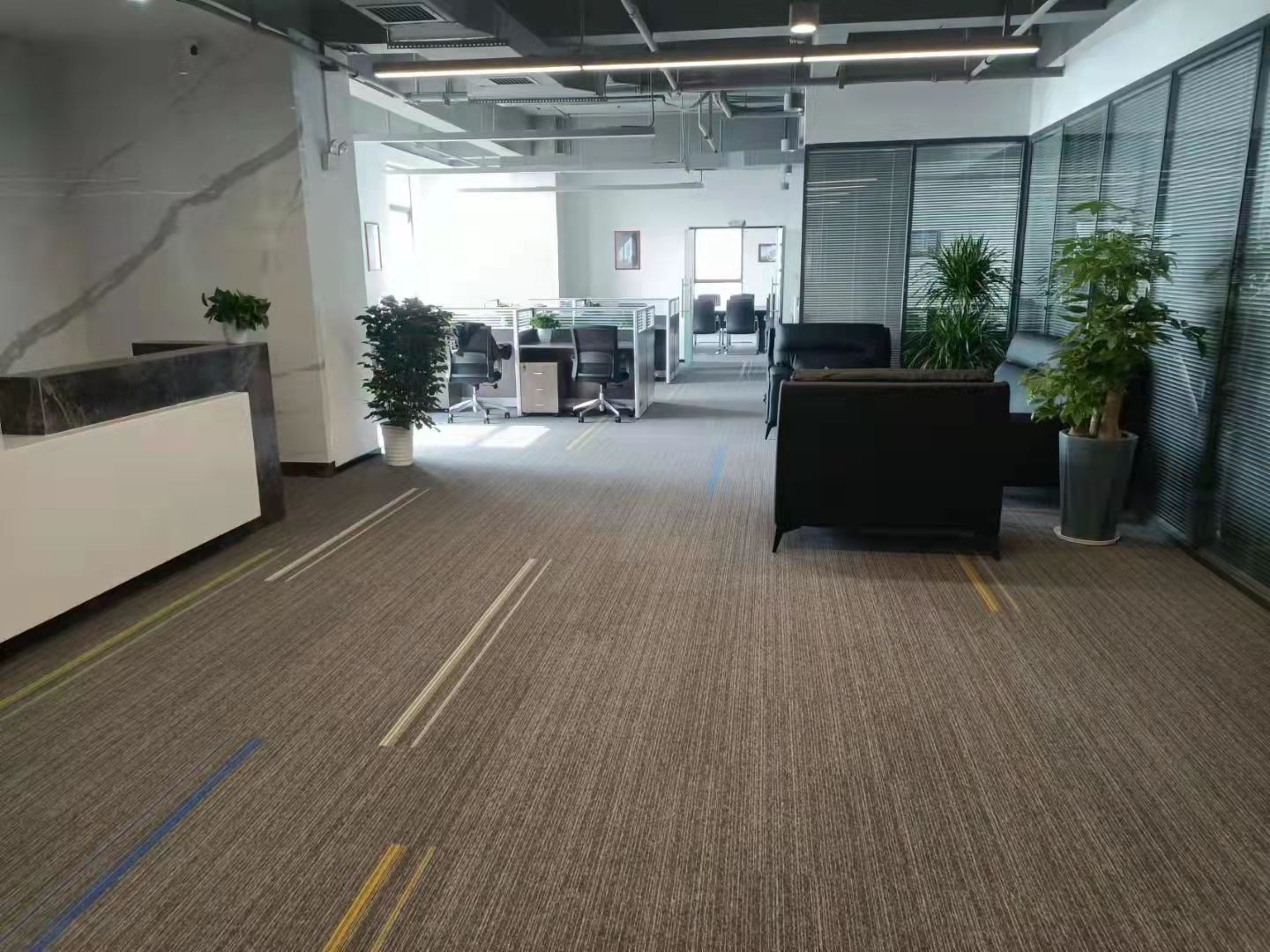 办公室地毯